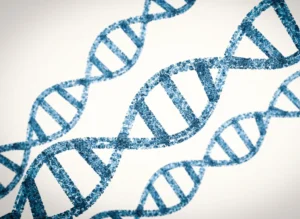 DNA Helix representing stem cell banking