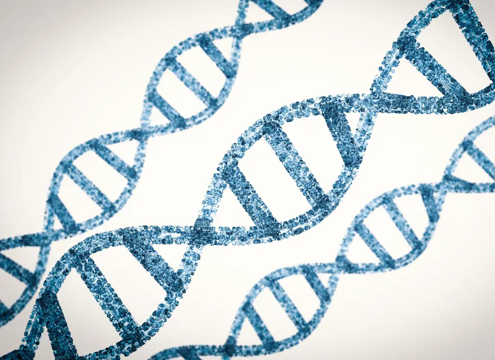 DNA Helix representing stem cell banking